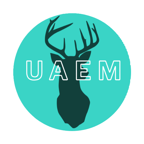 Icono Ciencia de Datos