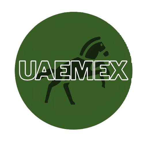 Icono Marketing Digital