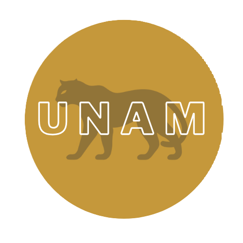 Icono Desarrollo Web